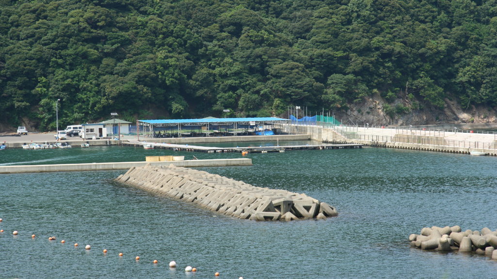 ブルーパーク阿納(釣り・捌き体験)