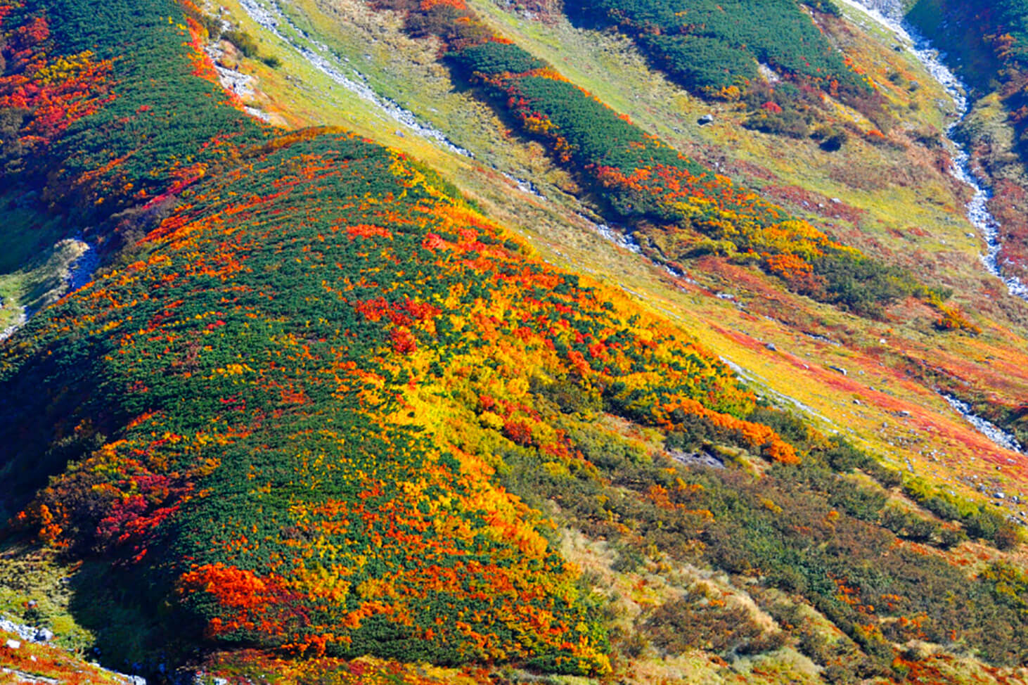 Tateyama Ropeway