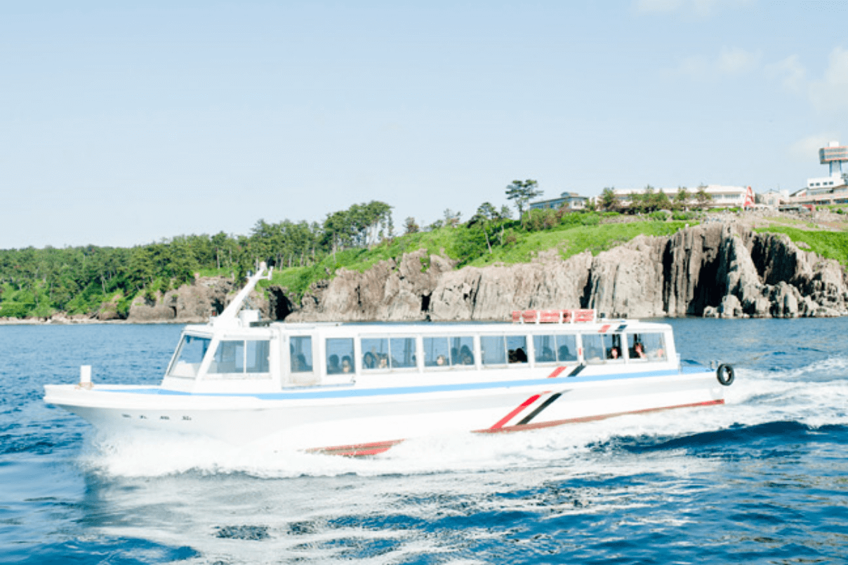 Tojinbo Cliffs sightseeing boats