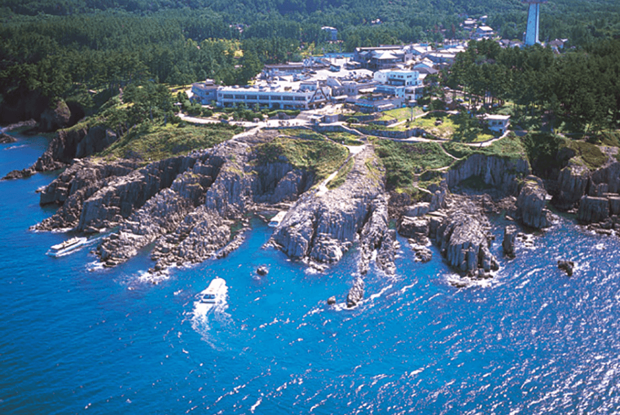 Tojinbo Cliffs