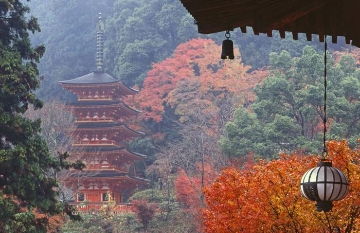 Hasedera Temple03