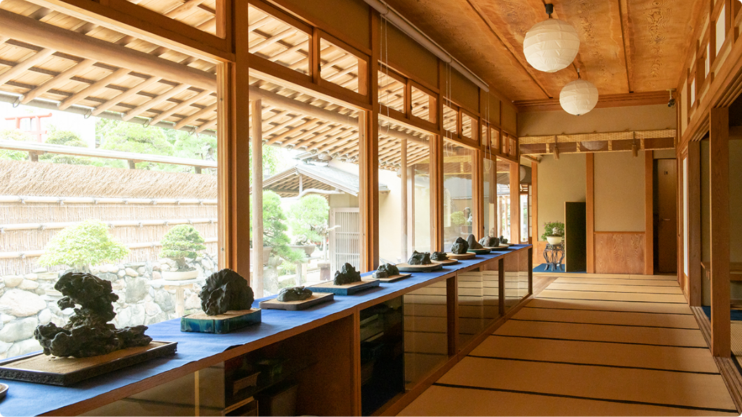 Shunkaen Bonsai Museum