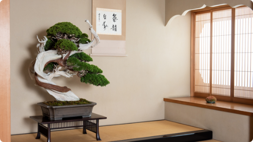 Shunkaen Bonsai Museum