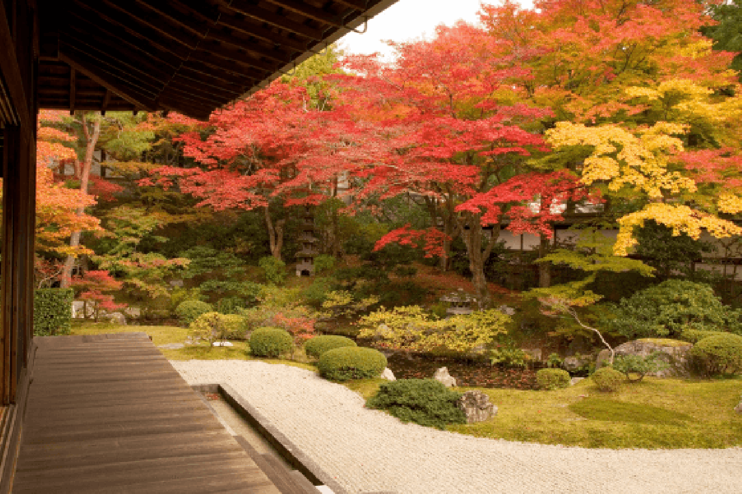 Sennyuji Temple