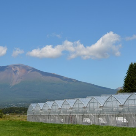 Karuizawa Garden Farm Strawberry Garden