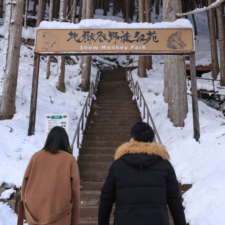 Jigokudani Wild Monkey Park