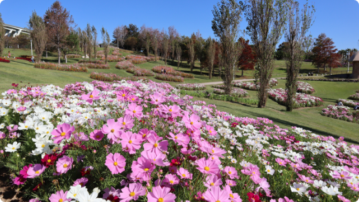 Akashi Kaikyo National Government Park