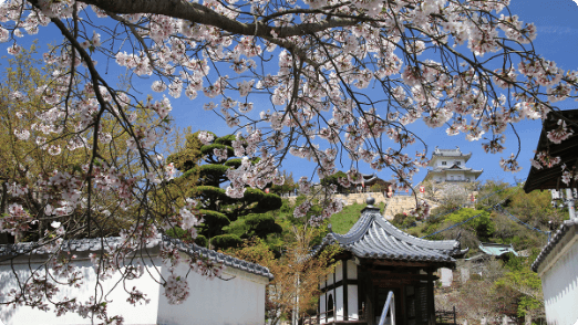 Innoshima Murakami Pirate Castle