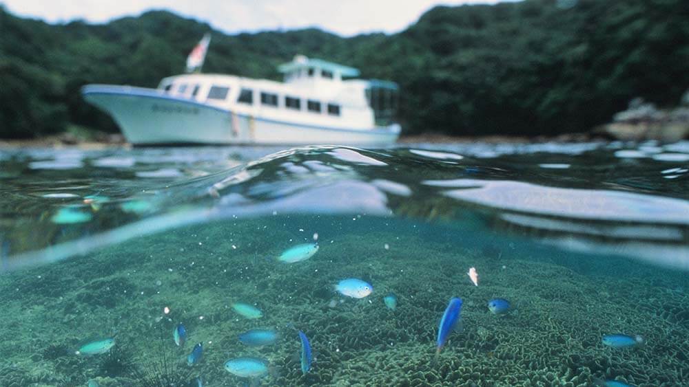 Tatsukushi Diving Center