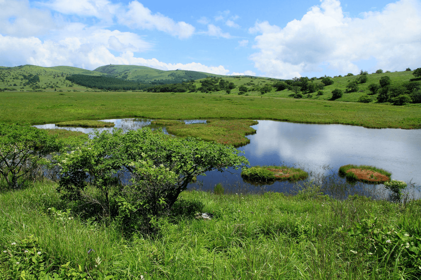 Kirigamine area