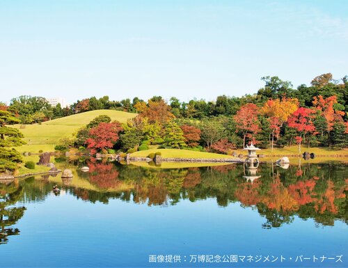 万博記念公園 紅葉まつり