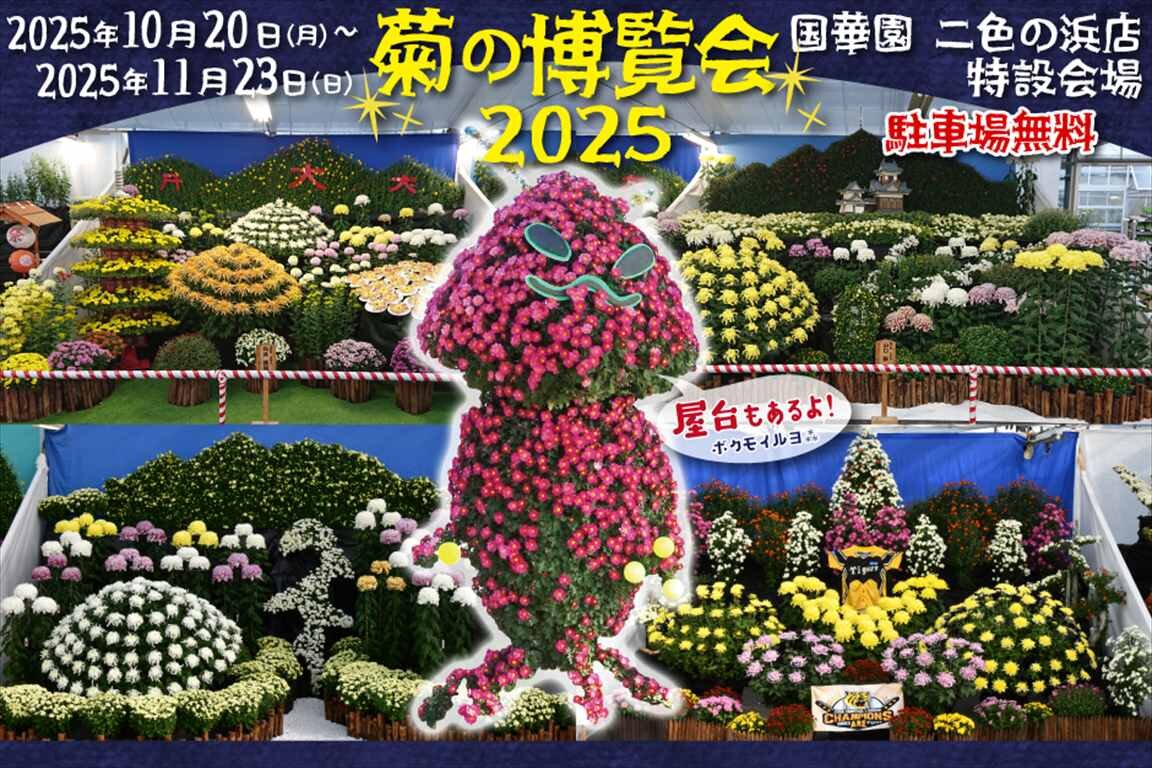 iwafu - 第42回日本菊花全国大会[国華園二色の浜店特設会場]｜関西