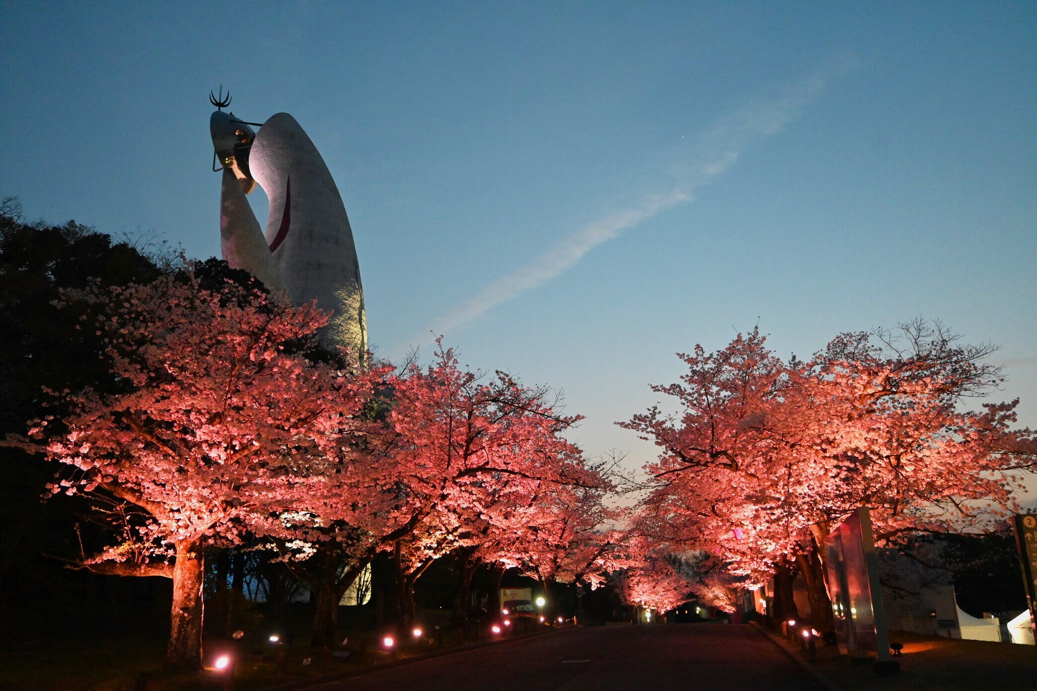 iwafu - Expo '70 Commemorative Park SAKURA EXPO 2026｜Kansai Osaka