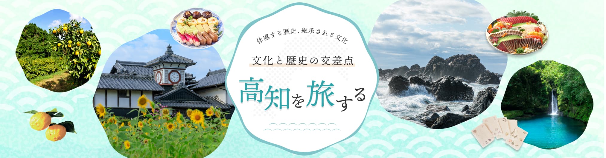 高知的推荐文化体验