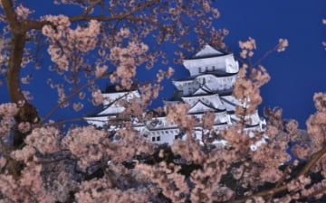 6 itinerarios recomendados para recorrer Kansai