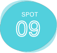 SPOT08