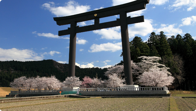 熊野本宮大社_大斎原の桜