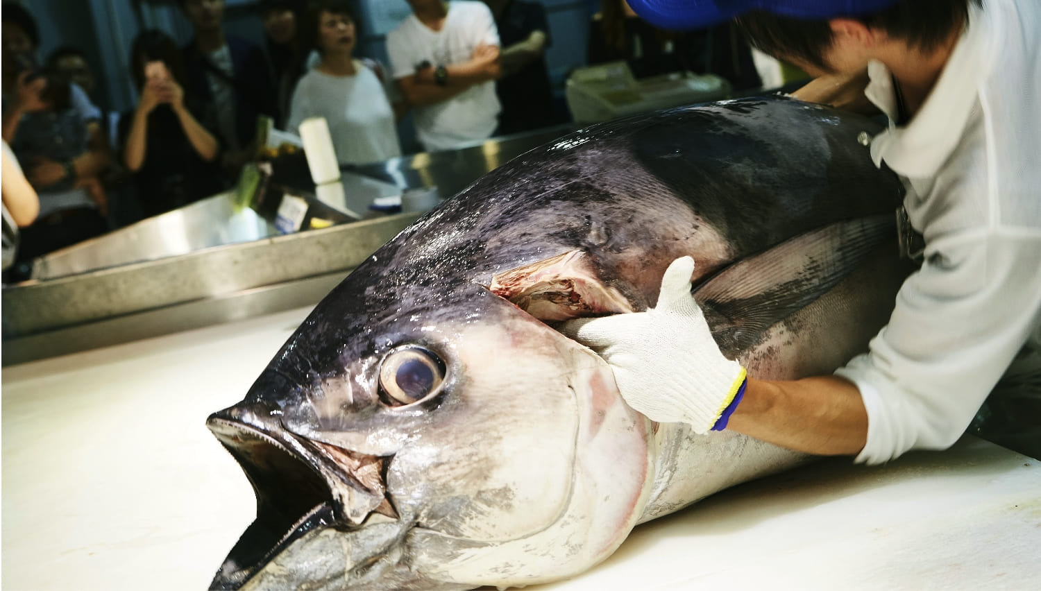 南紀白浜釣り体験