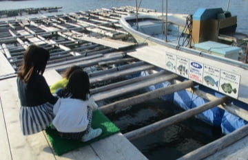 Puedes alimentar a tu mascota con peces