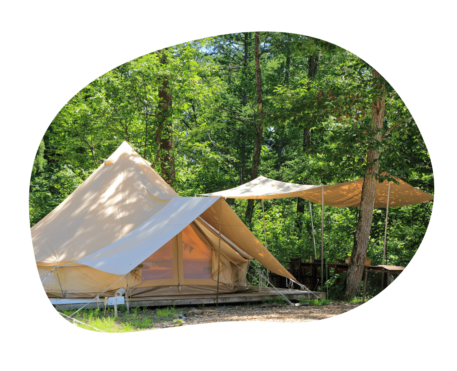 متسلقون يسيرون على طول قمة جبل صيفي