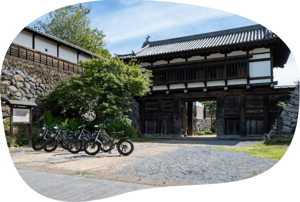 الناس يسيرون على طول الممشى الخشبي على الهضبة