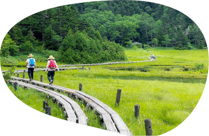 الناس يسيرون على طول الممشى الخشبي على الهضبة