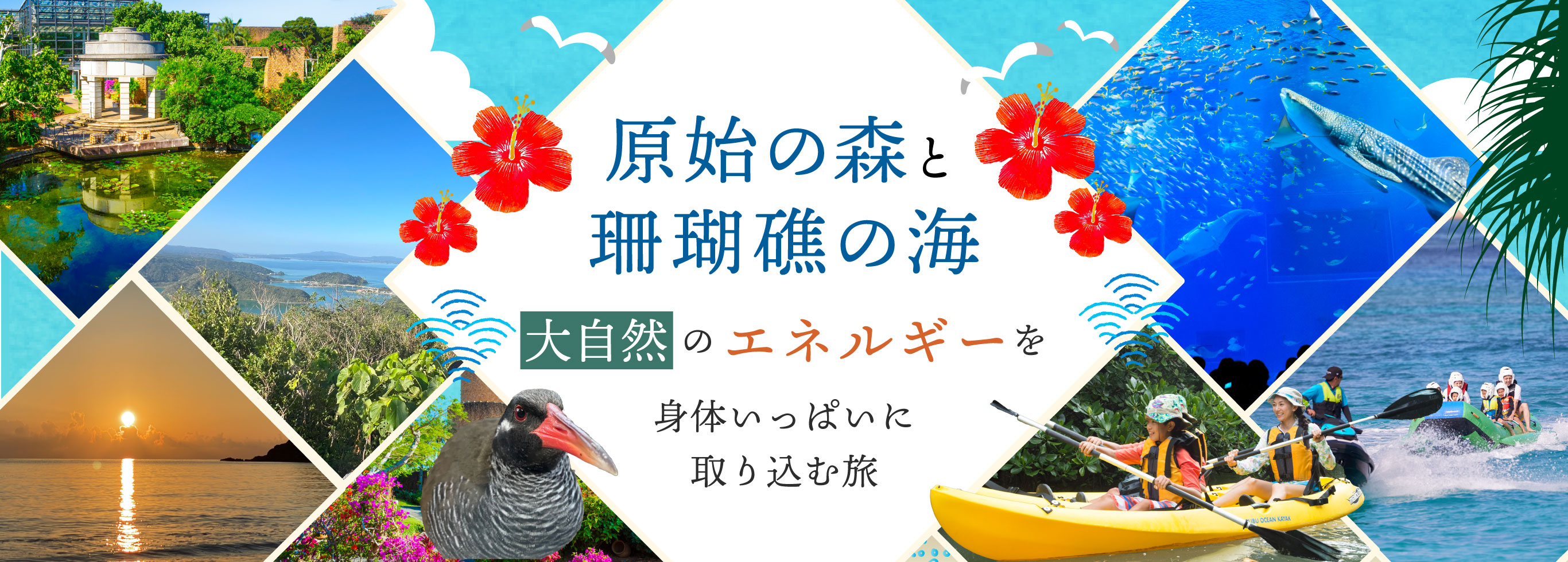 原始の森と珊瑚礁の海 大自然のエネルギーを身体いっぱいに取り込む旅
