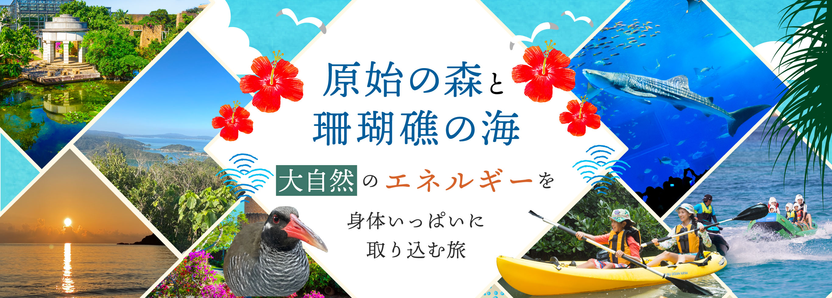 原始の森と珊瑚礁の海 大自然のエネルギーを身体いっぱいに取り込む旅