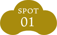 SPOT01