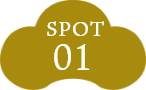 SPOT01