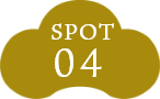 SPOT05