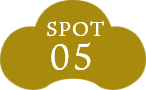 SPOT06