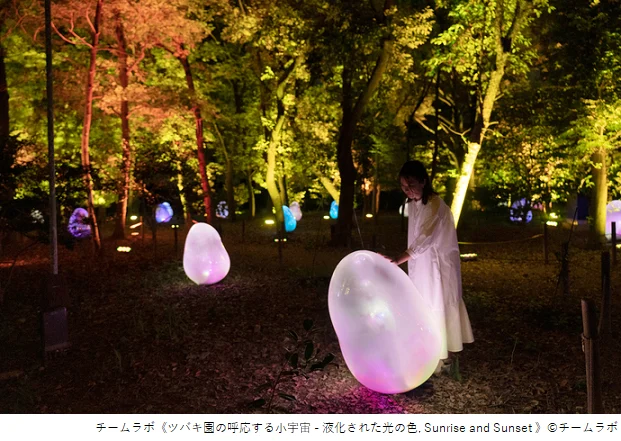 Nagai Botanical Garden teamLab Botanical Garden أوساكا