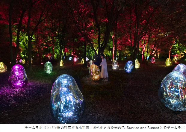 Nagai Botanical Garden teamLab Botanical Garden أوساكا