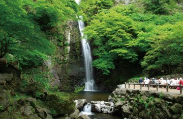 P8_Minoh Sashikae_Minoh Waterfall