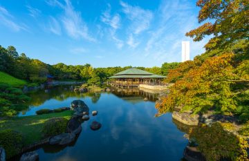 sakaishidaisenteien11