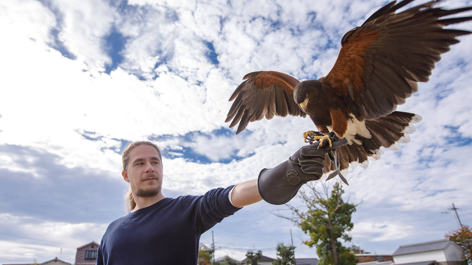大阪・御朱印授与と神秘の祈祷。間近で体感する圧巻の鷹匠ショー体験ツアー