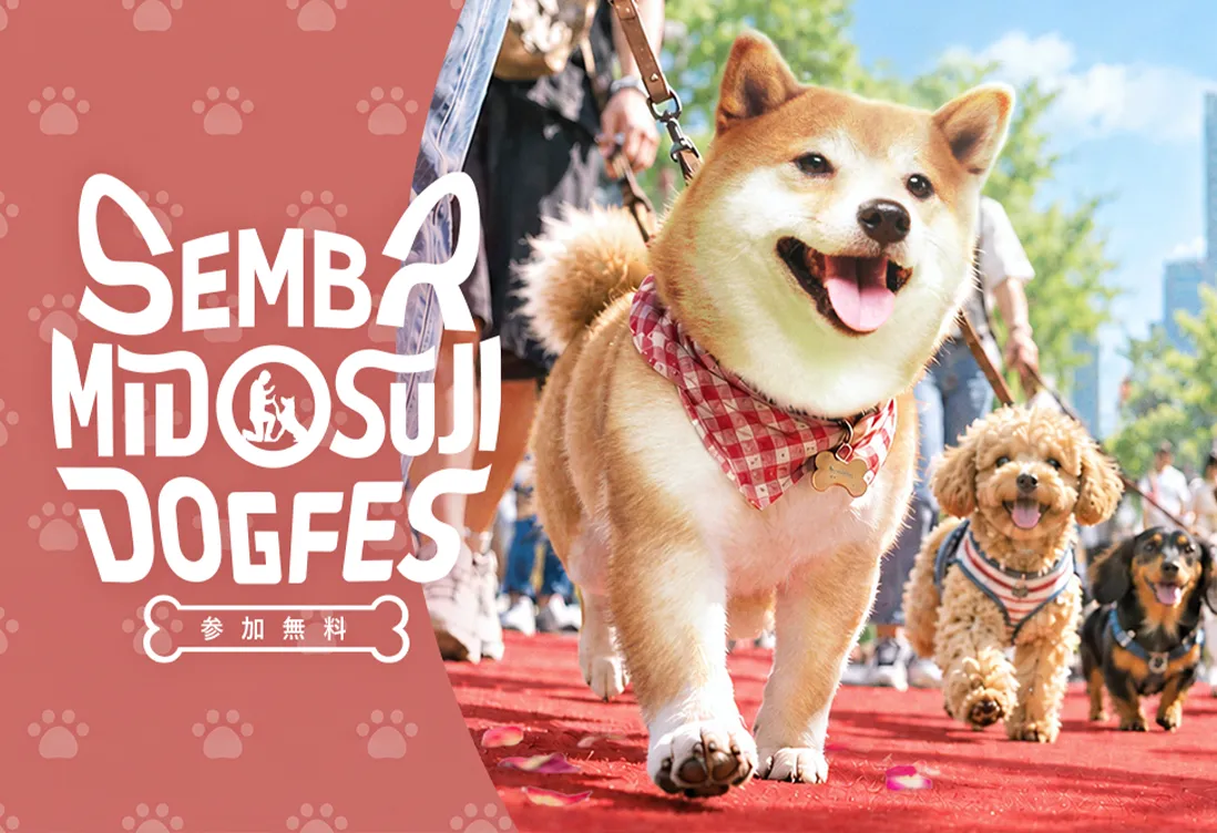 SEMBA MIDOSUJI DOGFES