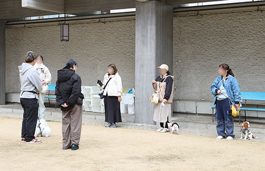 大家正在學習禮儀