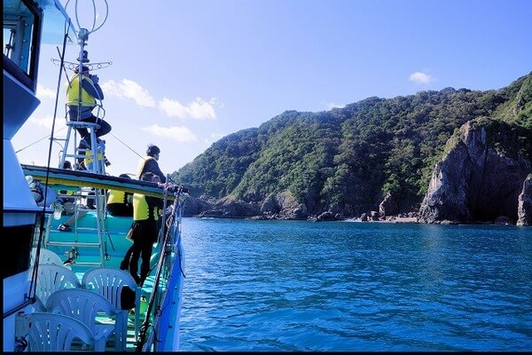 土佐湾クルージング