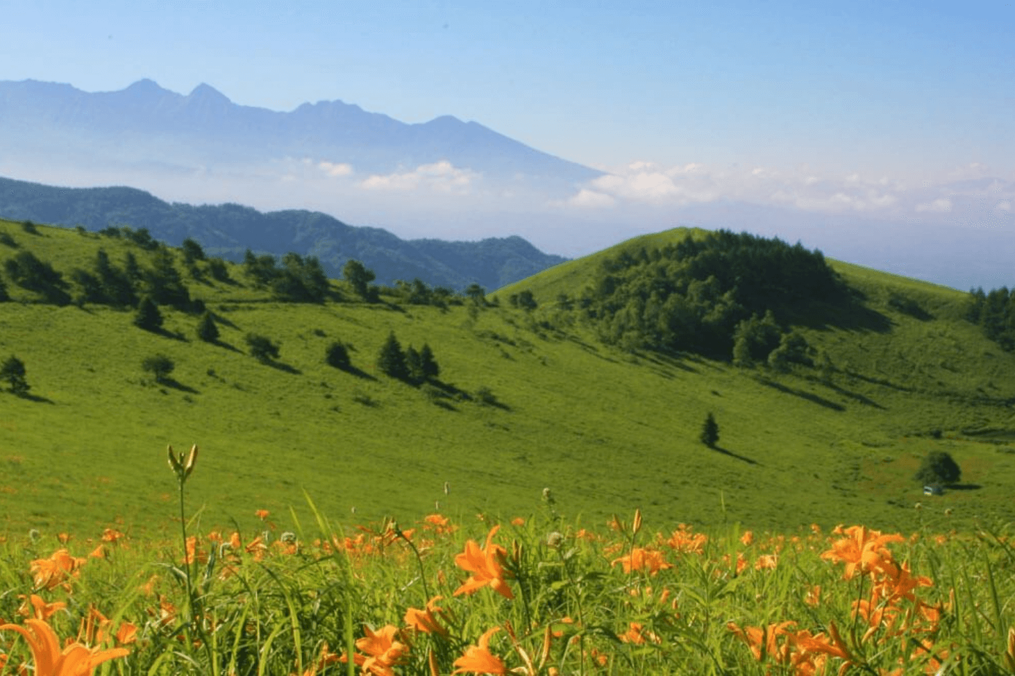 霧ヶ峰エリア