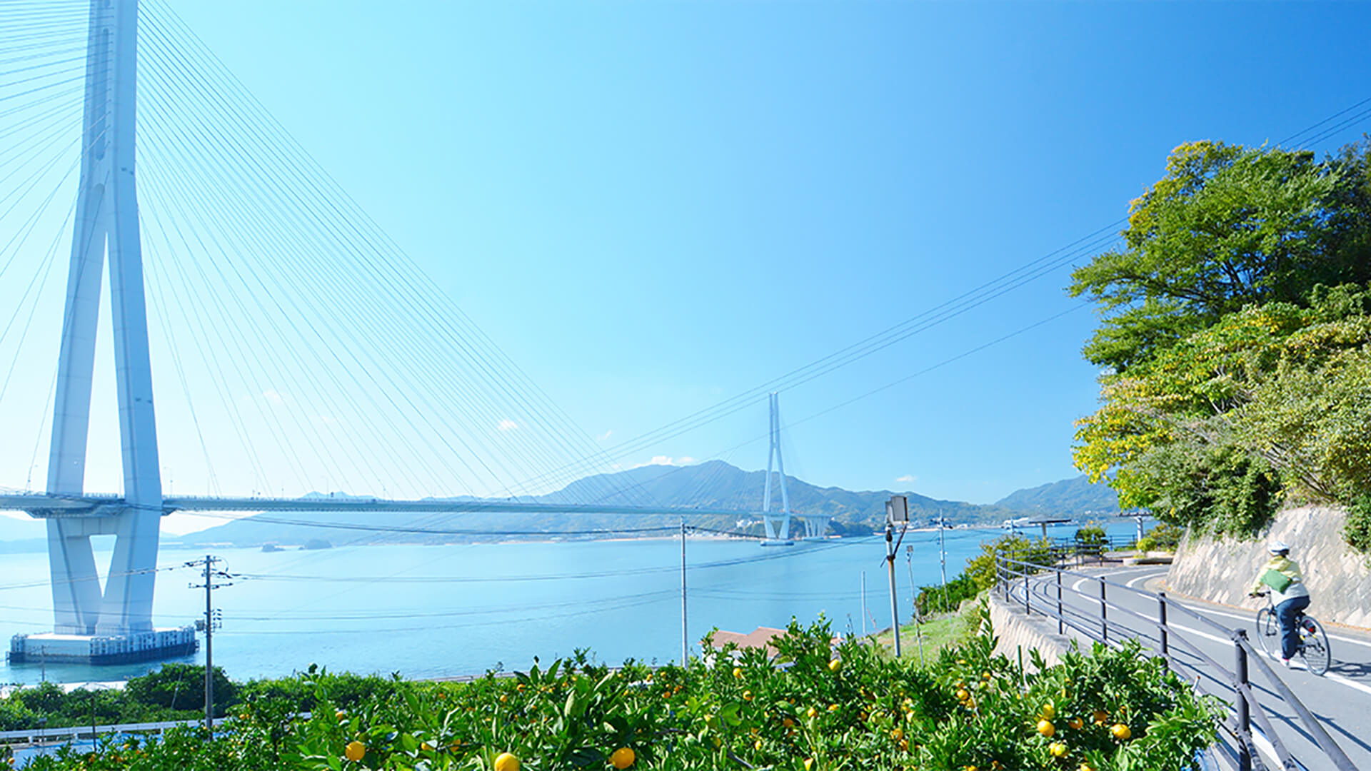 しまなみ海道サイクリングロード