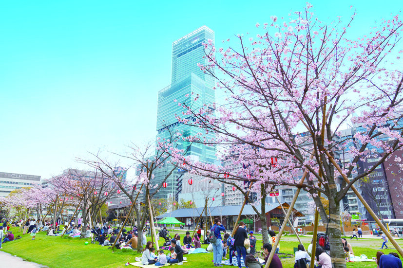 天王寺公園エントランスエリア（てんしば） | 観光スポット・体験 | OSAKA-INFO