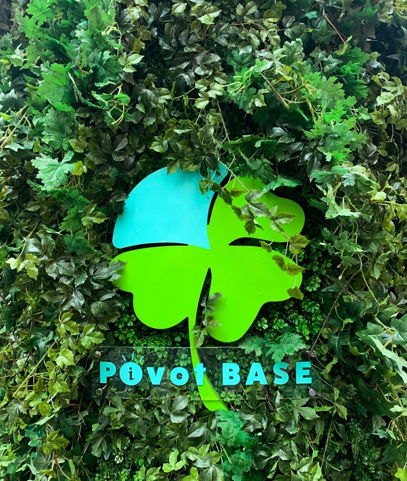 Pivot BASE Travel Cafe @ Tonbori | 景点和体验| OSAKA-INFO